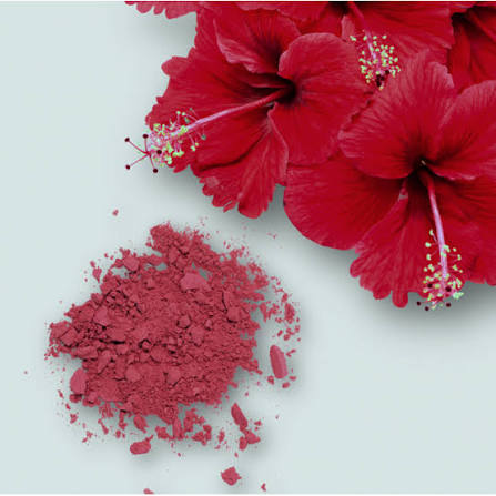 Hibiscus Powder