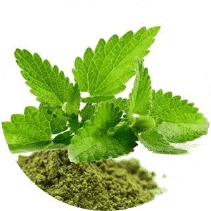 Tulsi Powder